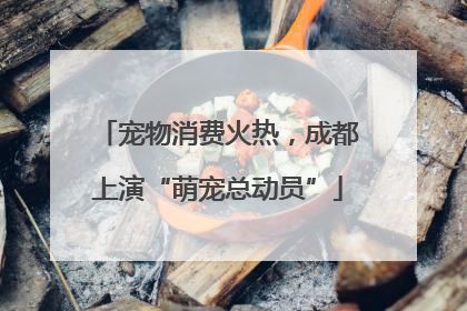 宠物消费火热，成都上演“萌宠总动员”
