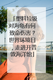 塑料垃圾对海龟有何致命伤害？世界环境日，走进开普敦海洋馆