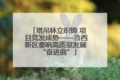 塔吊林立织锦 项目竞发成势——鲁西新区奏响高质量发展“奋进曲”