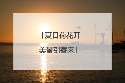 夏日荷花开 美景引客来
