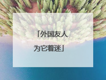 外国友人为它着迷