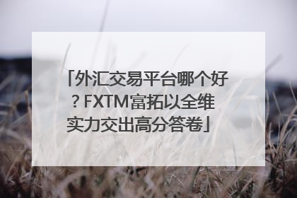 外汇交易平台哪个好？FXTM富拓以全维实力交出高分答卷