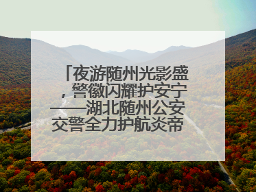 夜游随州光影盛，警徽闪耀护安宁——湖北随州公安交警全力护航炎帝故里寻根节夜游活动侧记