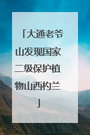 大通老爷山发现国家二级保护植物山西杓兰