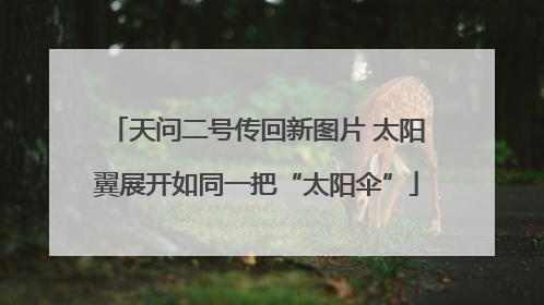 天问二号传回新图片 太阳翼展开如同一把“太阳伞”