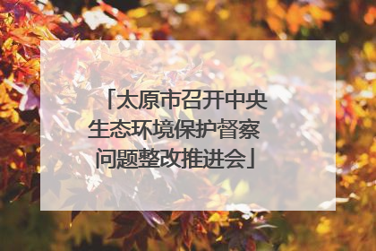 太原市召开中央生态环境保护督察问题整改推进会