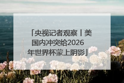 央视记者观察丨美国内冲突给2026年世界杯蒙上阴影