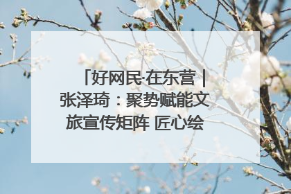 好网民·在东营｜张泽琦：聚势赋能文旅宣传矩阵 匠心绘就东营诗与远方