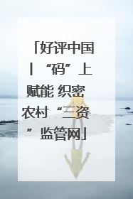 好评中国丨“码”上赋能 织密农村“三资”监管网