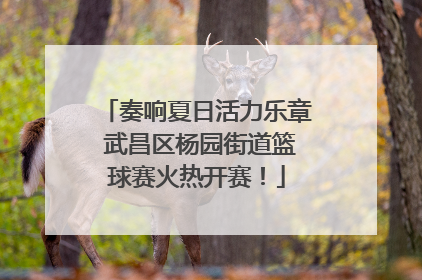 奏响夏日活力乐章 武昌区杨园街道篮球赛火热开赛！