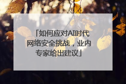 如何应对AI时代网络安全挑战，业内专家给出建议
