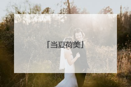 当夏荷美