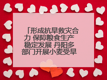 形成抗旱救灾合力 保障粮食生产稳定发展 丹阳多部门开展小麦受旱情况调研