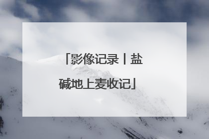 影像记录丨盐碱地上麦收记