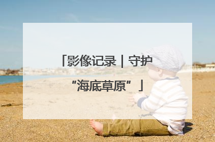 影像记录｜守护“海底草原”
