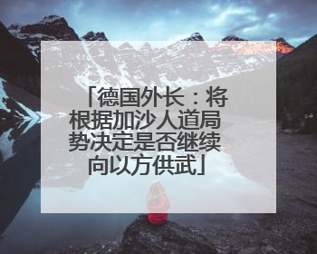 德国外长：将根据加沙人道局势决定是否继续向以方供武