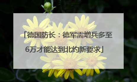 德国防长：德军需增兵多至6万才能达到北约新要求