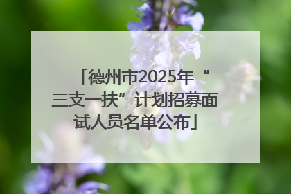 德州市2025年“三支一扶”计划招募面试人员名单公布