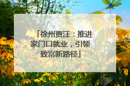 徐州贾汪：推进家门口就业，引领致富新路径