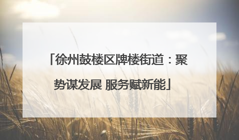 徐州鼓楼区牌楼街道：聚势谋发展 服务赋新能