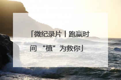 微纪录片丨跑赢时间 “植”为救你