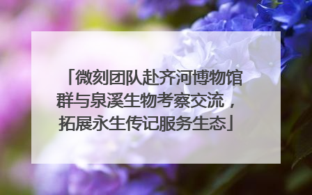 微刻团队赴齐河博物馆群与泉溪生物考察交流，拓展永生传记服务生态