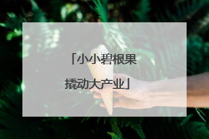 小小碧根果撬动大产业