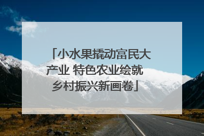 小水果撬动富民大产业 特色农业绘就乡村振兴新画卷