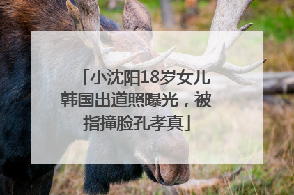 小沈阳18岁女儿韩国出道照曝光，被指撞脸孔孝真