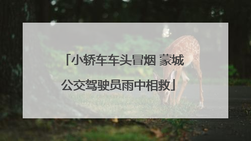 小轿车车头冒烟 蒙城公交驾驶员雨中相救