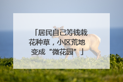 居民自己筹钱栽花种草，小区荒地变成“微花园”