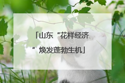 山东“花样经济”焕发蓬勃生机