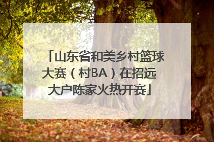 山东省和美乡村篮球大赛（村BA）在招远大户陈家火热开赛