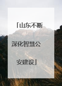 山东不断深化智慧公安建设