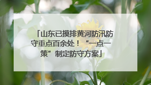 山东已摸排黄河防汛防守重点百余处！“一点一策”制定防守方案