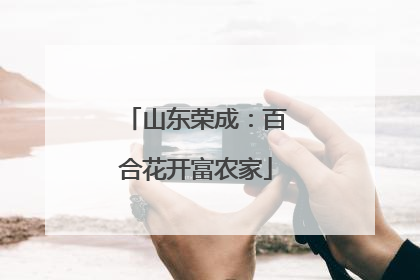 山东荣成：百合花开富农家