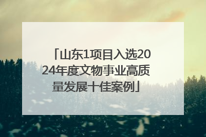 山东1项目入选2024年度文物事业高质量发展十佳案例