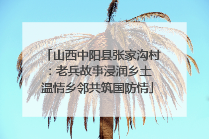 山西中阳县张家沟村：老兵故事浸润乡土 温情乡邻共筑国防情