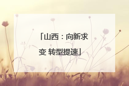 山西：向新求变 转型提速