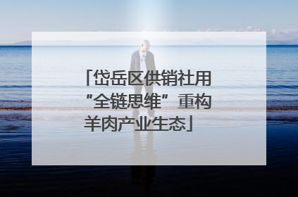 岱岳区供销社用“全链思维”重构羊肉产业生态