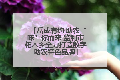 岳成有约·助农“味”你而来 监利市柘木乡全力打造数字助农特色品牌