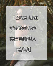巴勒斯坦驻华使馆举办声援巴勒斯坦人民活动