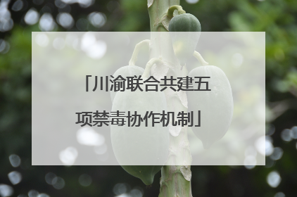 川渝联合共建五项禁毒协作机制