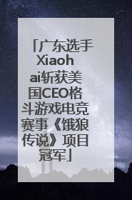 广东选手Xiaohai斩获美国CEO格斗游戏电竞赛事《饿狼传说》项目冠军