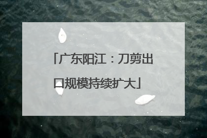 广东阳江：刀剪出口规模持续扩大