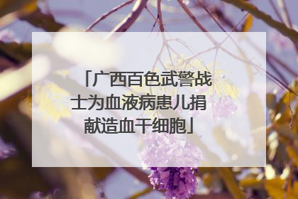 广西百色武警战士为血液病患儿捐献造血干细胞