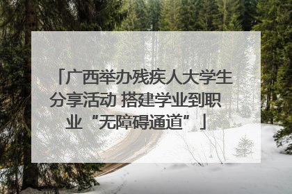 广西举办残疾人大学生分享活动 搭建学业到职业“无障碍通道”