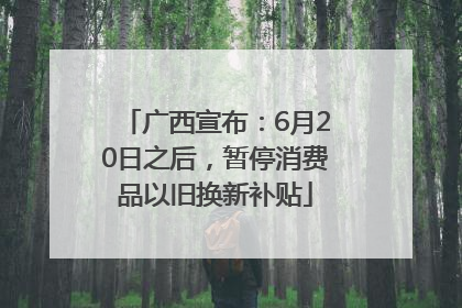 广西宣布：6月20日之后，暂停消费品以旧换新补贴