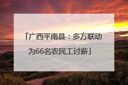 广西平南县：多方联动为66名农民工讨薪