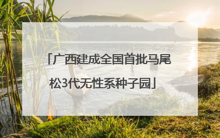 广西建成全国首批马尾松3代无性系种子园